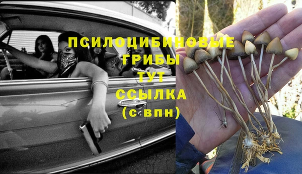 mdpv Белокуриха