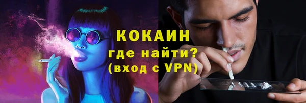 mdpv Белокуриха