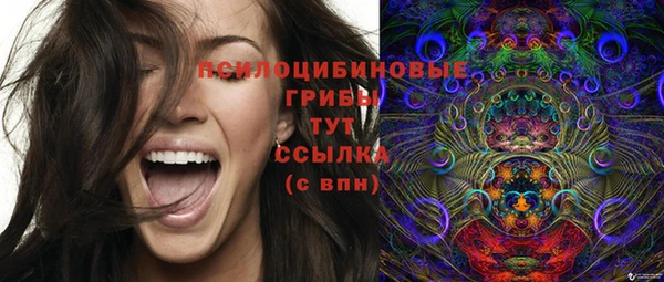 PSILOCYBIN Белоозёрский