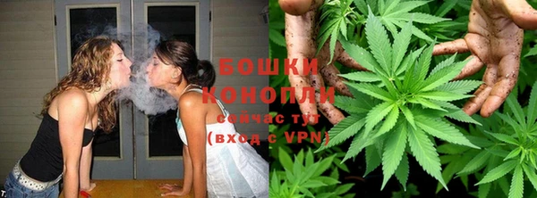 mdpv Белокуриха
