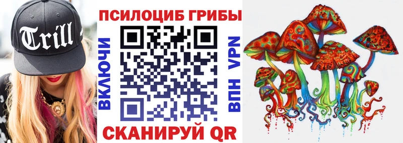 hydra tor  Костомукша  Псилоцибиновые грибы Psilocybe 